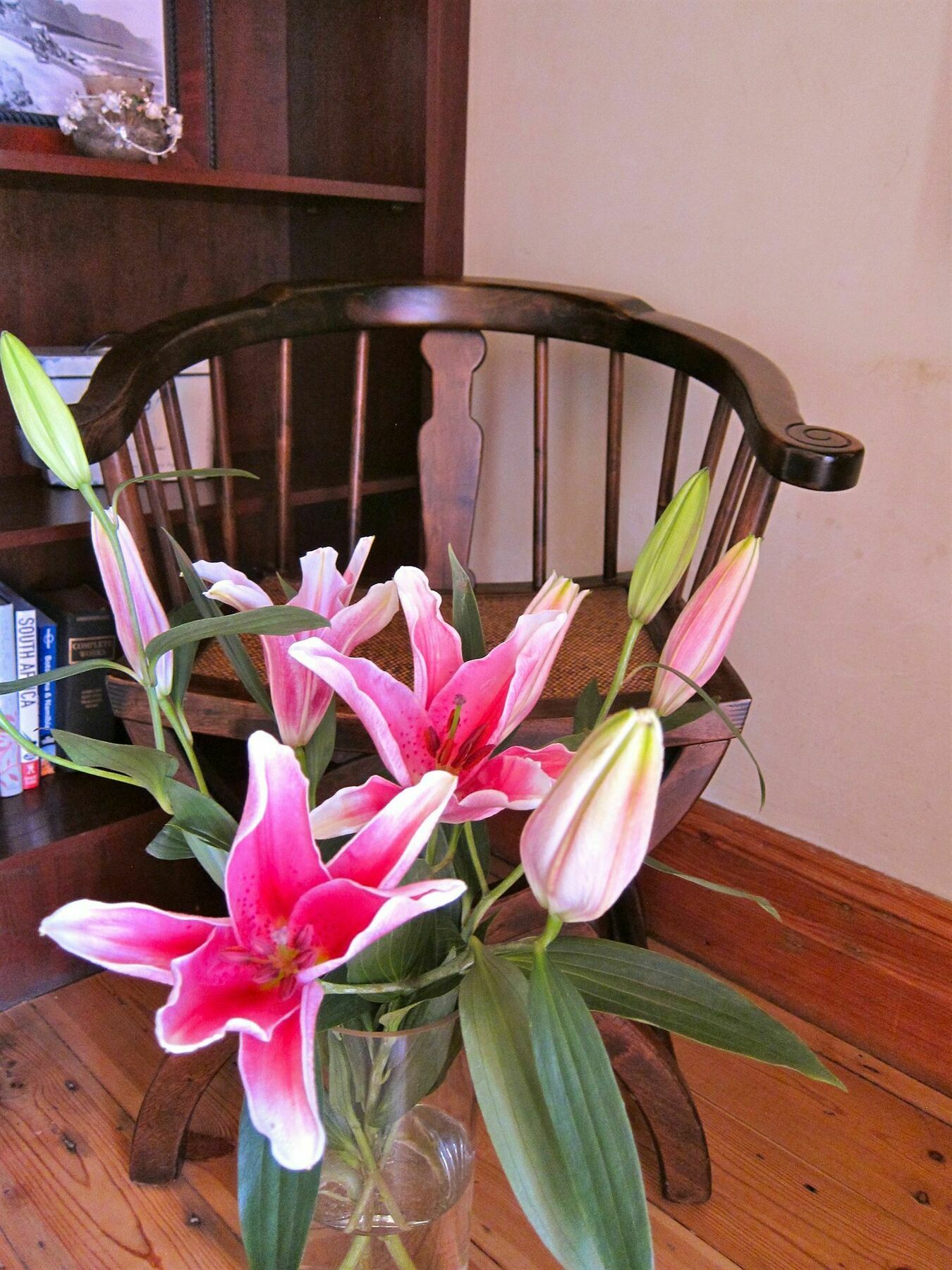 Avatara Bed & Breakfast Cape Town Exterior photo