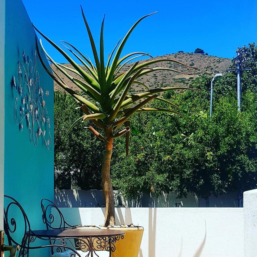 Avatara Bed & Breakfast Cape Town Exterior photo